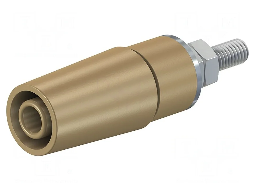 2026_06_06_312383