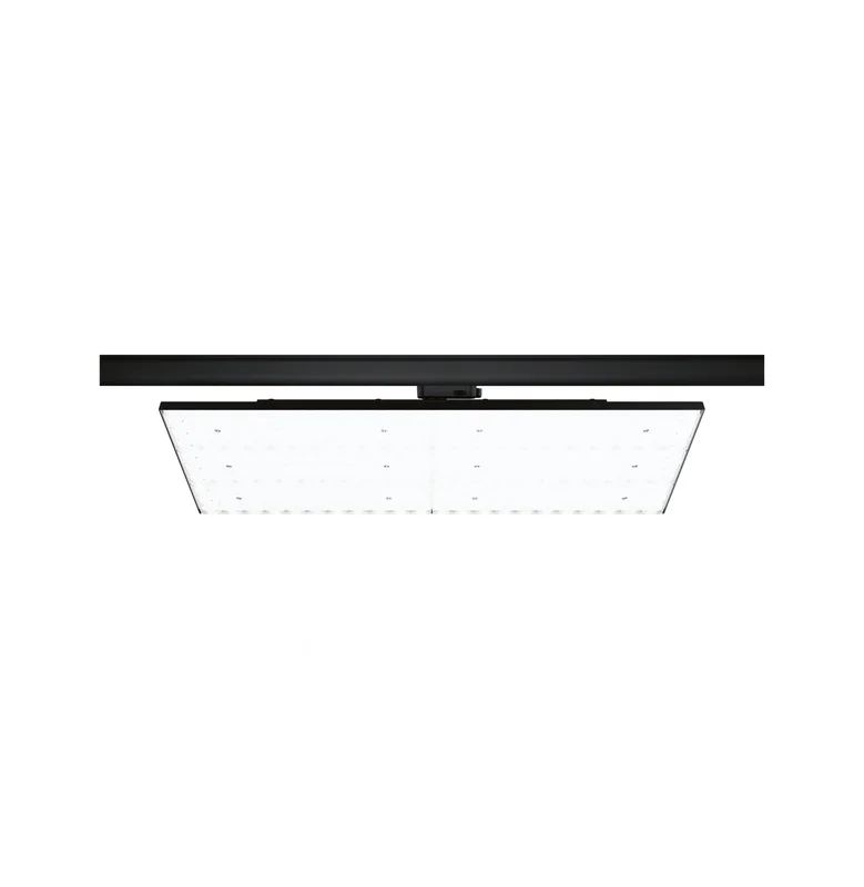 2026_06_08_21446