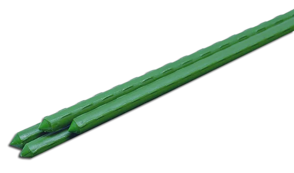 shhxdsanbkr20260606052639280686